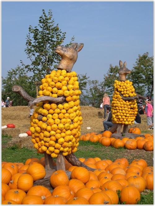 Самые странные фестивали мира