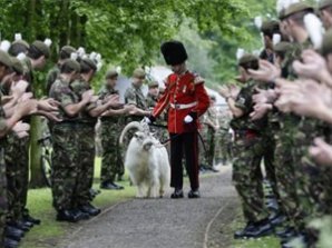 Козла-талисмана валлийской королевской гвардии отправили на пенсию