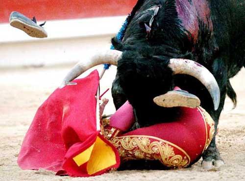Испанская коррида: быки калечат людей