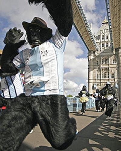 По улицам Лондона бегали гориллы