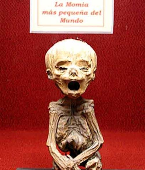 Когда оживают мумии