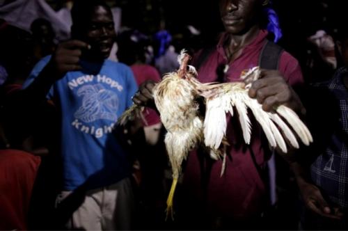 Тысячи поклонников жуткого культа собрались на Гаити