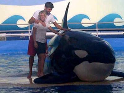 Последние фотографии звезд из Твиттеров