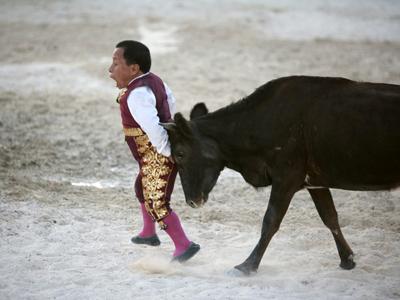 Мексиканские мини-матадоры