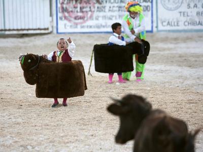 Мексиканские мини-матадоры