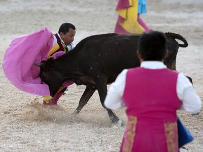 Мексиканские мини-матадоры