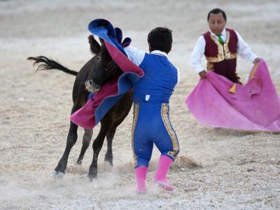 Мексиканские мини-матадоры