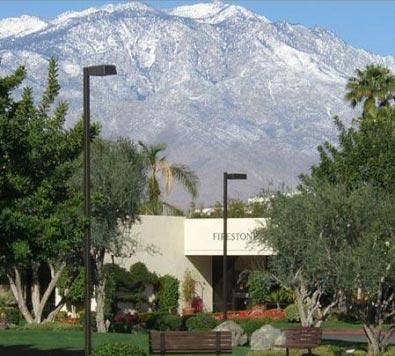 Топ-10 любимых психушек знаменитостей