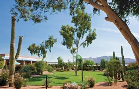 Топ-10 любимых психушек знаменитостей