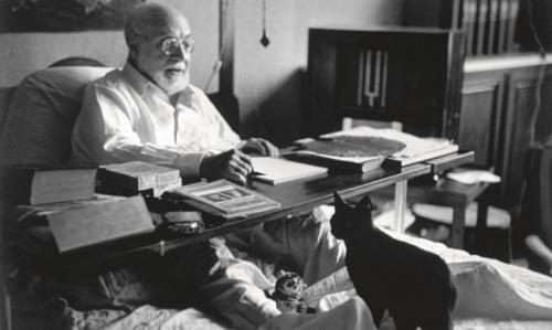 За каждым великим человеком стоит кот