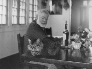 За каждым великим человеком стоит кот