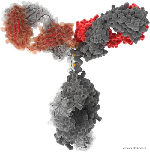 3D-модели вируса иммунодефицита человека