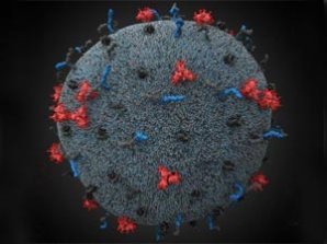 3D-модели вируса иммунодефицита человека