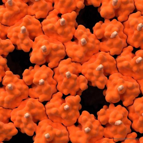 3D-модели вируса иммунодефицита человека