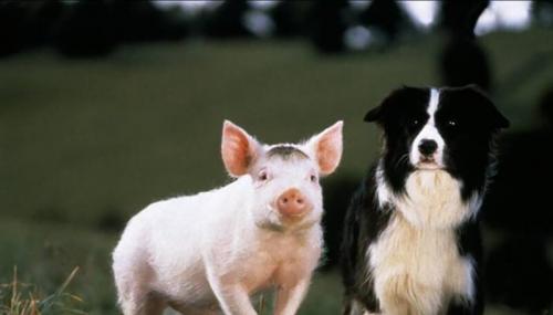 35 интересных фактов из мира кинематографа