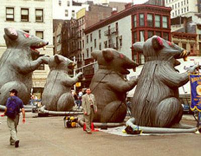 Крысы вышли на улицы с протестом