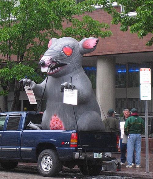 Крысы вышли на улицы с протестом