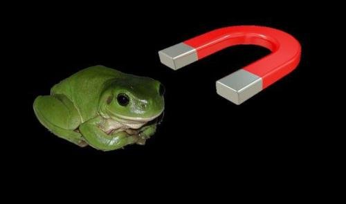 Самые нелепые исследования в науке