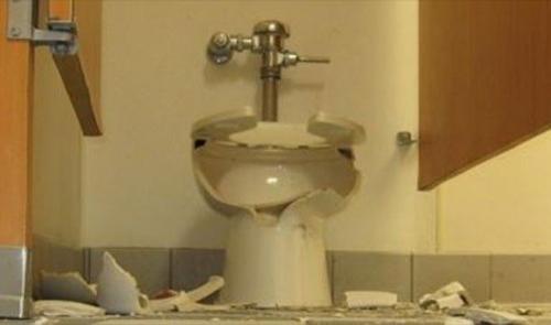 Самые нелепые исследования в науке