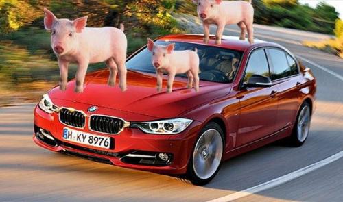 Самые нелепые исследования в науке