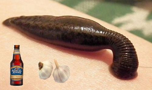 Самые нелепые исследования в науке