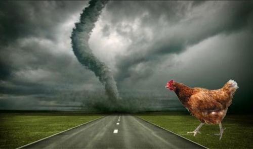 Самые нелепые исследования в науке