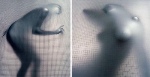 Тим Флэч : такие незнакомые знакомые животные