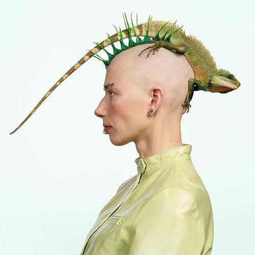 Тим Флэч : такие незнакомые знакомые животные