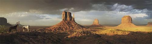 Тим Флэч : такие незнакомые знакомые животные