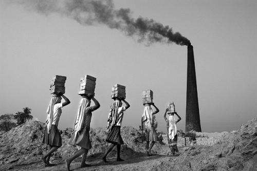 Объявлены лучшие цифровые фотографы 2009 года