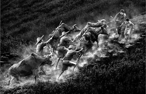 Объявлены лучшие цифровые фотографы 2009 года