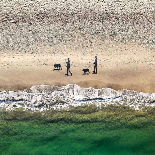 Лучшие фотографии с конкурса Drone Awards 2019