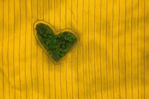 Лучшие фотографии с конкурса Drone Awards 2019