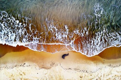 Лучшие фотографии с конкурса Drone Awards 2019