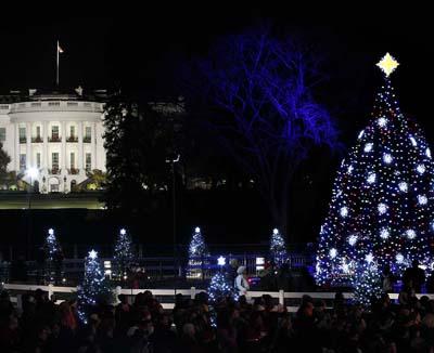 Самые красивые рождественские елки 2011