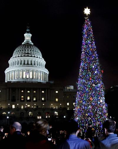 Самые красивые рождественские елки 2011