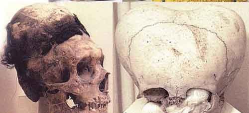 Уникальная коллекция пришельцев Марка Моргана: и все-таки они существуют?..