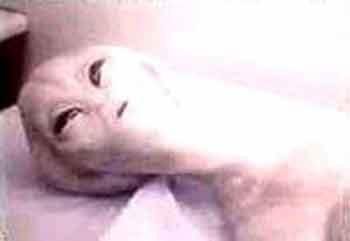 Уникальная коллекция пришельцев Марка Моргана: и все-таки они существуют?..