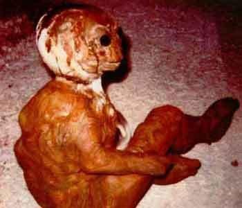 Уникальная коллекция пришельцев Марка Моргана: и все-таки они существуют?..