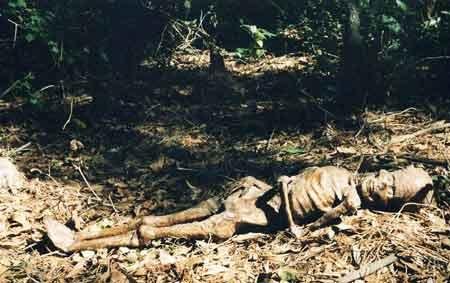 Уникальная коллекция пришельцев Марка Моргана: и все-таки они существуют?..