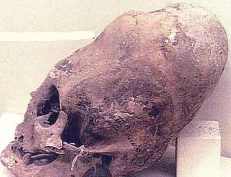 Уникальная коллекция пришельцев Марка Моргана: и все-таки они существуют?..