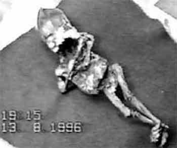 Уникальная коллекция пришельцев Марка Моргана: и все-таки они существуют?..