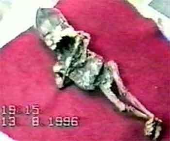 Уникальная коллекция пришельцев Марка Моргана: и все-таки они существуют?..