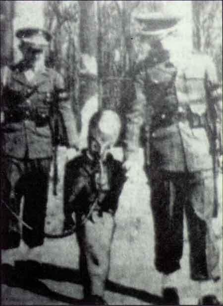 Уникальная коллекция пришельцев Марка Моргана: и все-таки они существуют?..