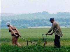 Умом Россию не понять… Фотофакт!