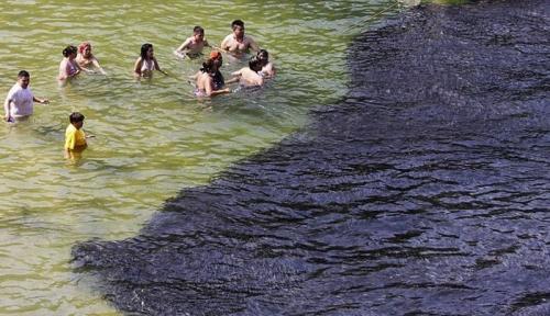 В Мексике рыба начала выплывать на берег