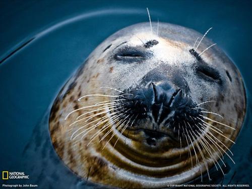 Лучшие фото National Geographic