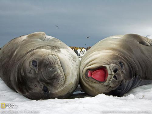 Лучшие фото National Geographic