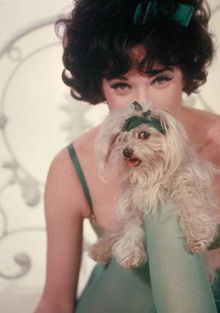 Редкие фотографии юных знаменитостей. часть 11