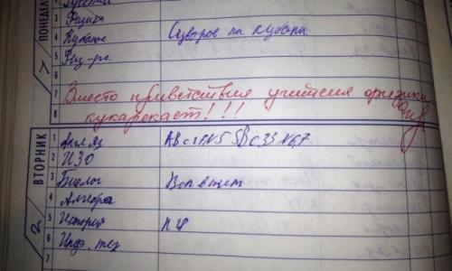 20 записей в дневниках, после которых вновь захочется вернуться в школу